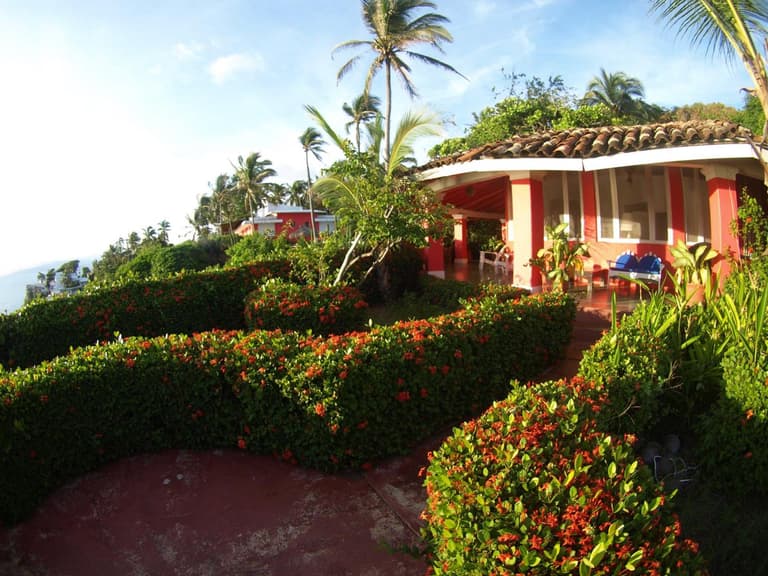 Hotel Flamingos — Jardín tropical