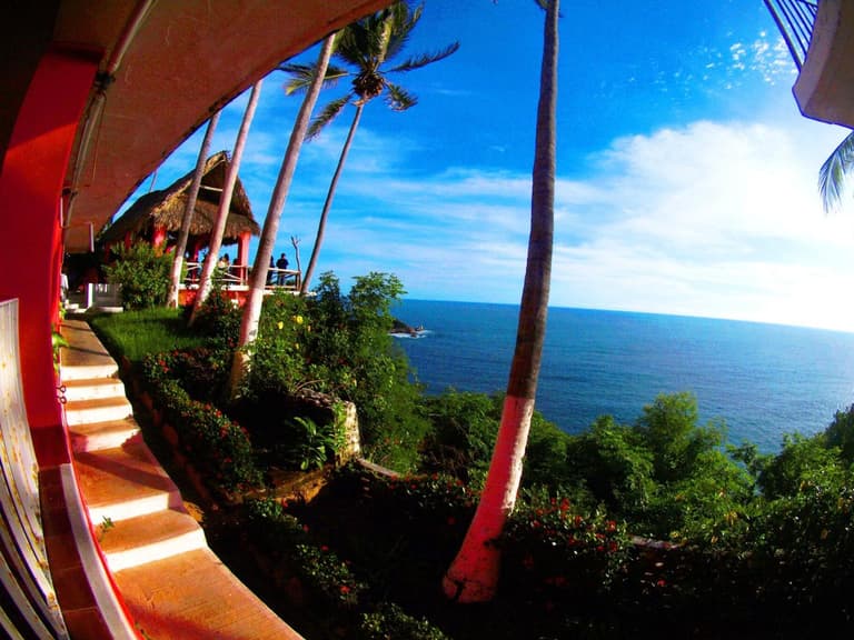 Hotel Flamingos — Acantilado y palmeras